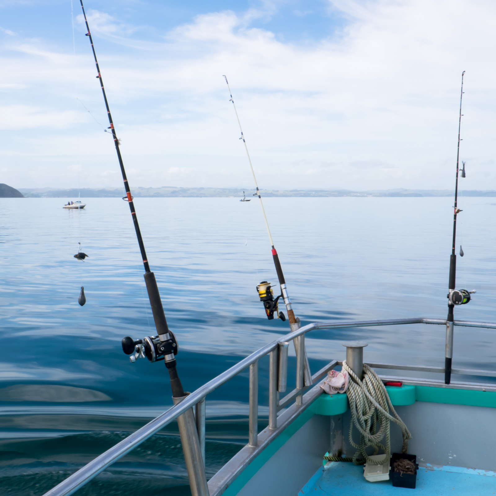 Water  (mahi wai)