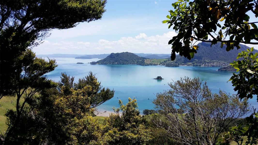 Te Whara Track (Whangārei Heads)