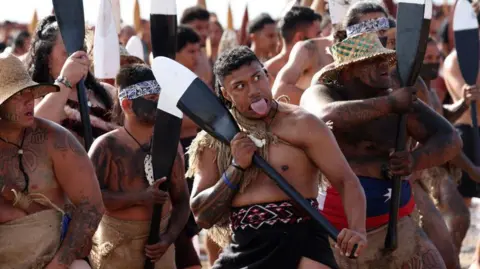 Waitangi Treaty Grounds